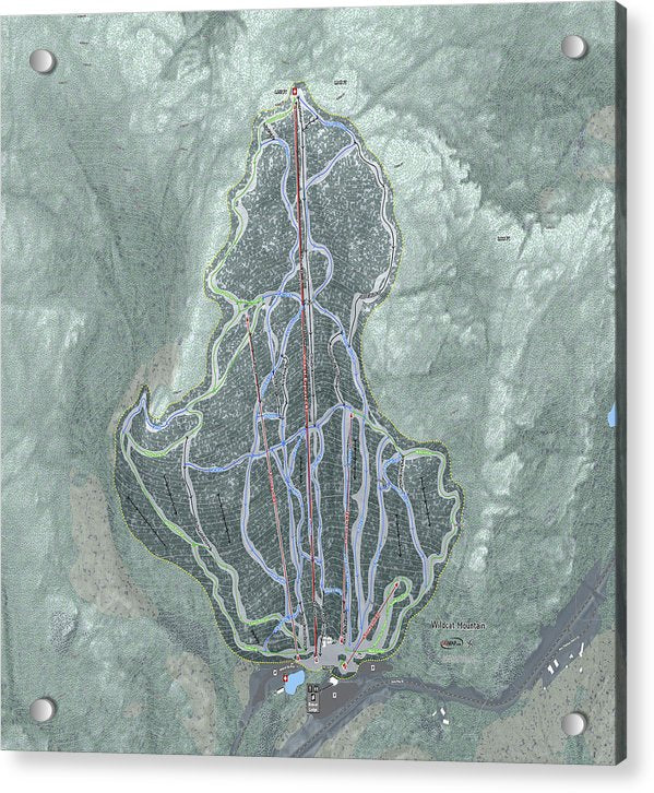 Wildcat Mountain Ski Trail Map  - Acrylic Print - Powderaddicts