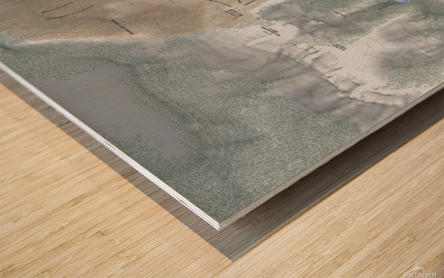 Wood Print
