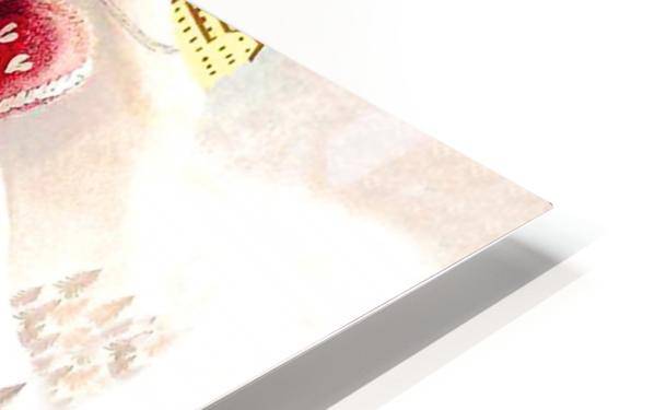 Woolen Glove on Pyrenees - Powderaddicts